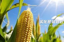 爱游戏线上-?~滴zif1|惁麁n尯??&amp;?橺gy(は和が一起使用)